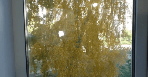 Отменный способ мыть окна без разводов, пыли и запотевания