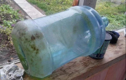 Как эффективно убрать зеленый налет с пластиковой бутылки
